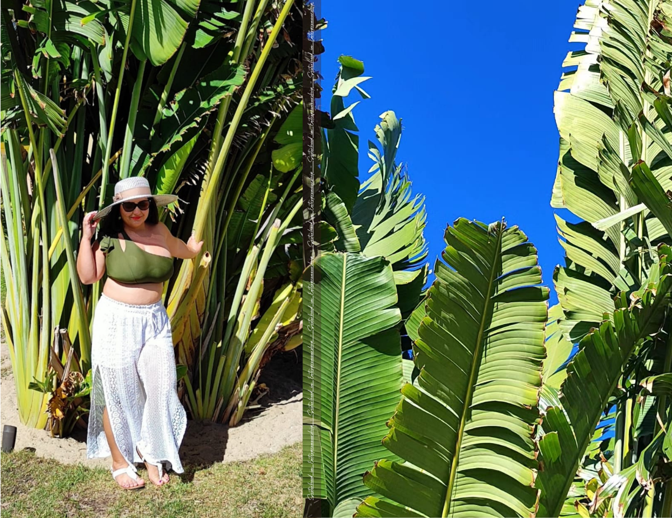 Rocking the business world: Sisterhood in Entrepreneurship